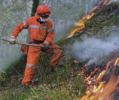 Immagine Incendi boschivi, sabato 4  la Toscana partecipa alla giornata mondiale di prevenzione