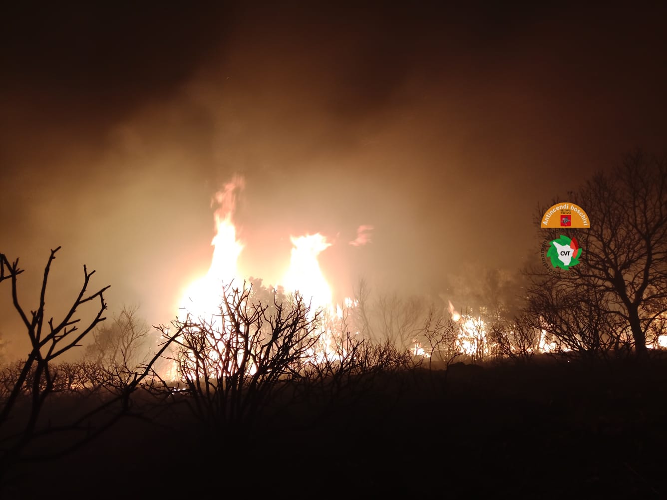 Immagine Incendio a Capalbio riattivato dal vento, in azione tre elicotteri e un Canadair