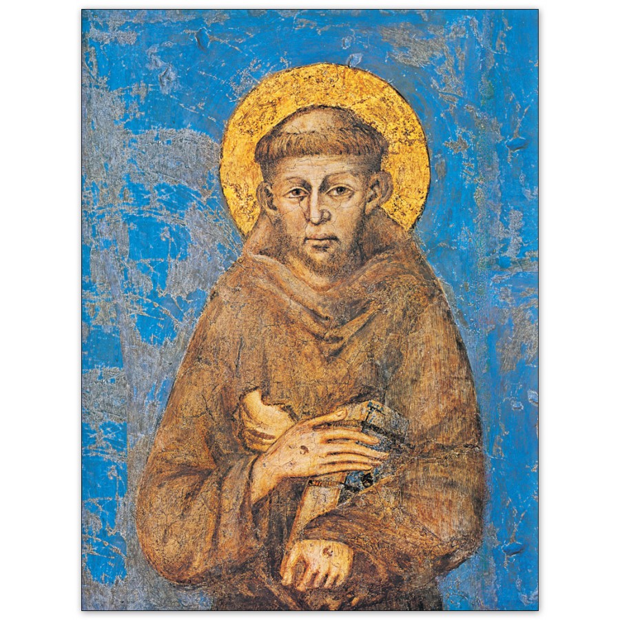 San Francesco e il concorso 