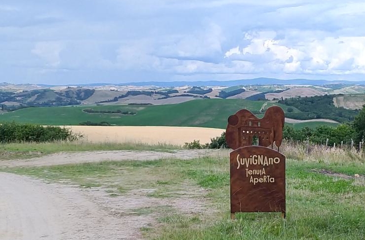 Beni confiscati alla mafia: con 687 la Toscana è la nona regione in Italia