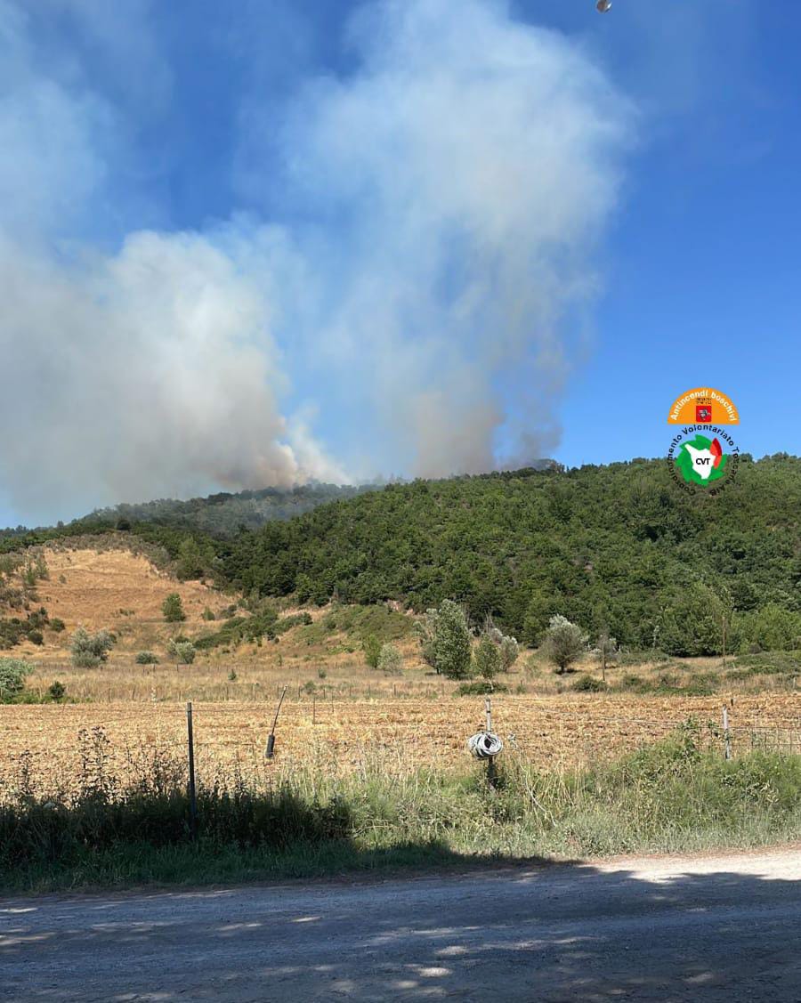 Incendio boschivo a Sinalunga, in località Montalbano