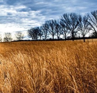 Polo agroalimentare toscano, martedì 24 luglio a Grosseto la firma di un protocollo d'intesa