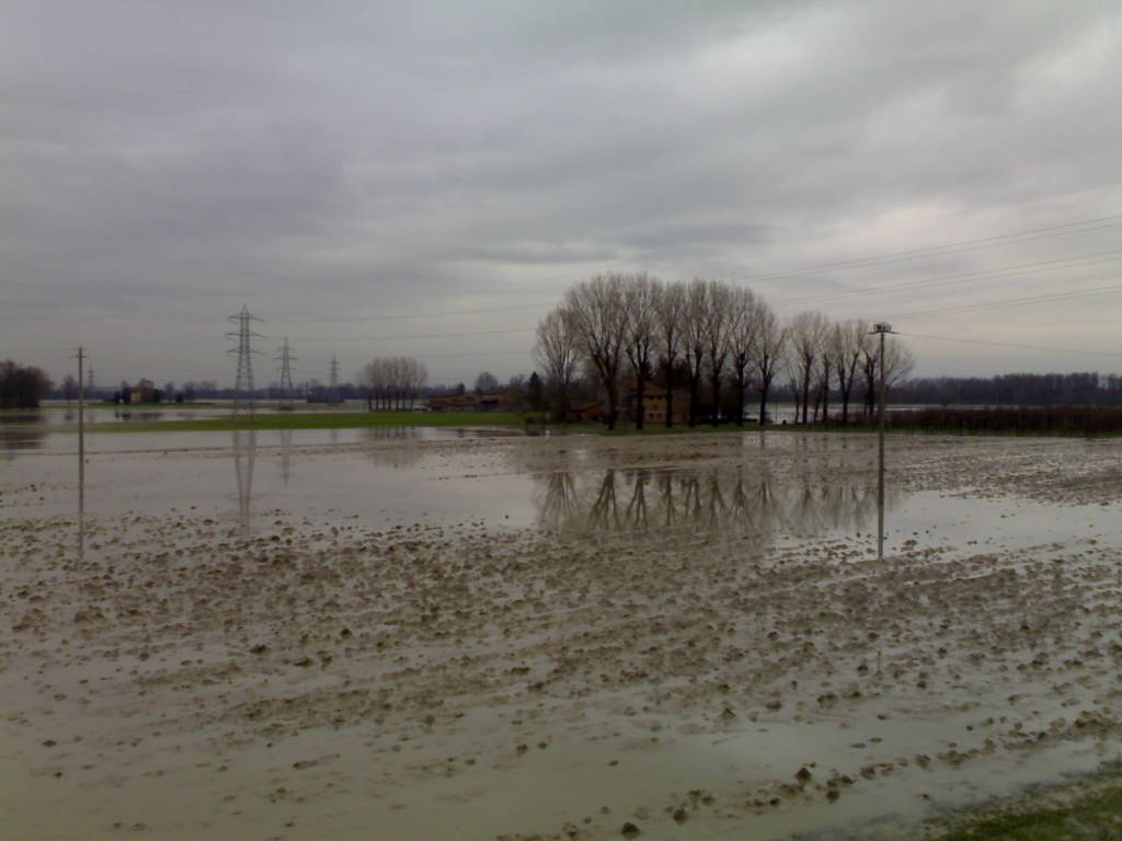 Danni da maltempo per imprese agricole, aperta scheda per chiedere ristori