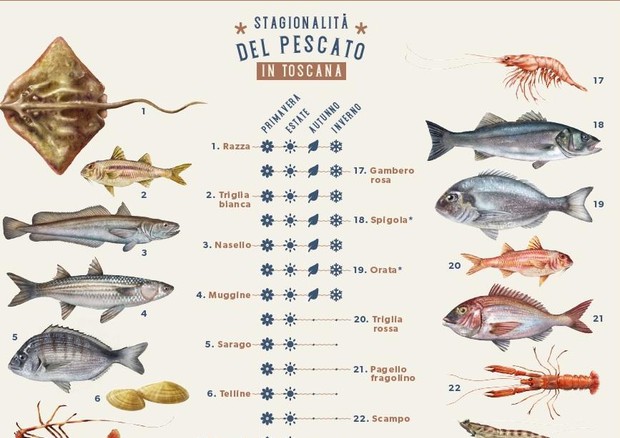 Calendario del pescato toscano