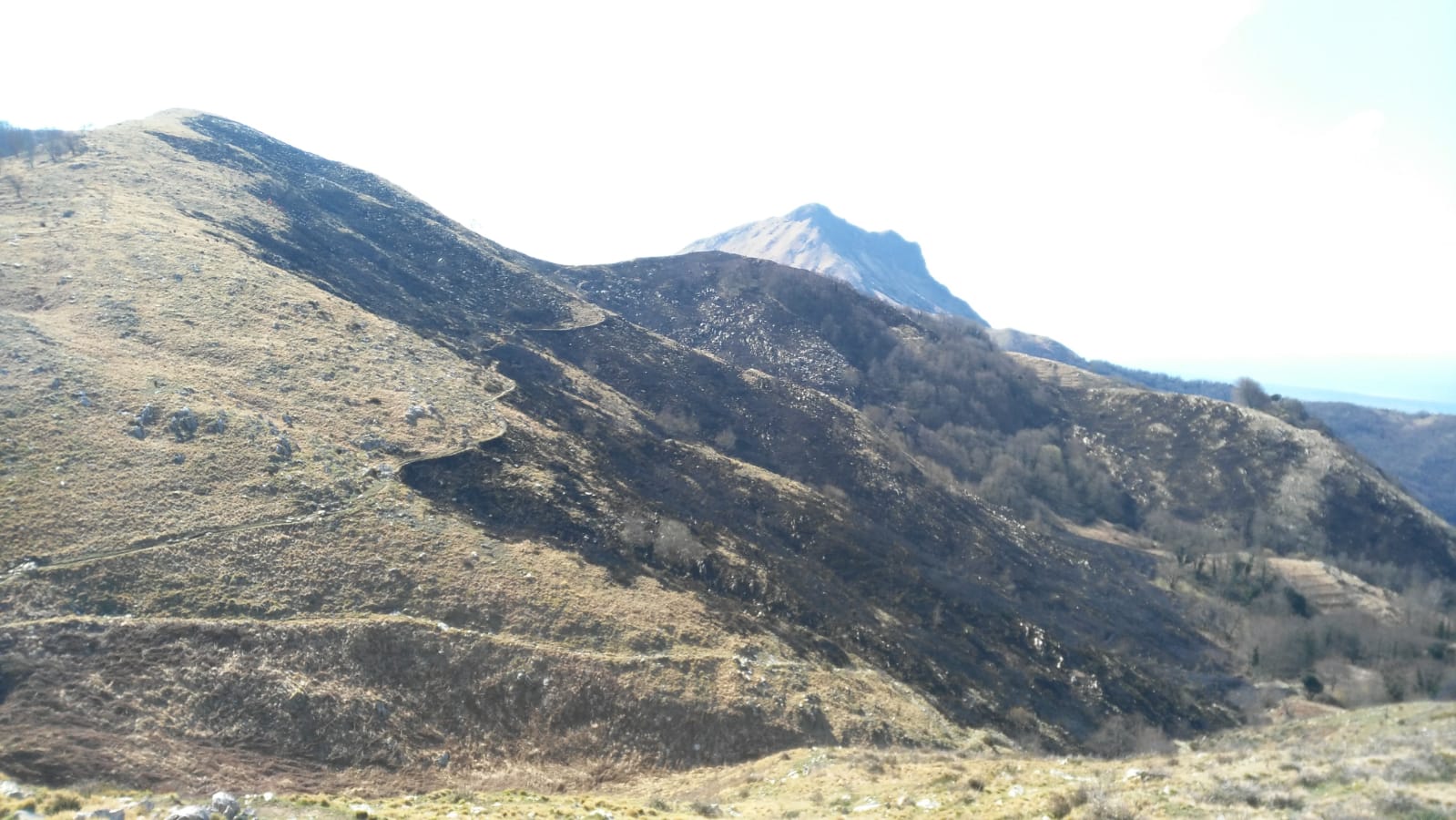 Spento l'incendio di Camaiore, consumati 18 ettari