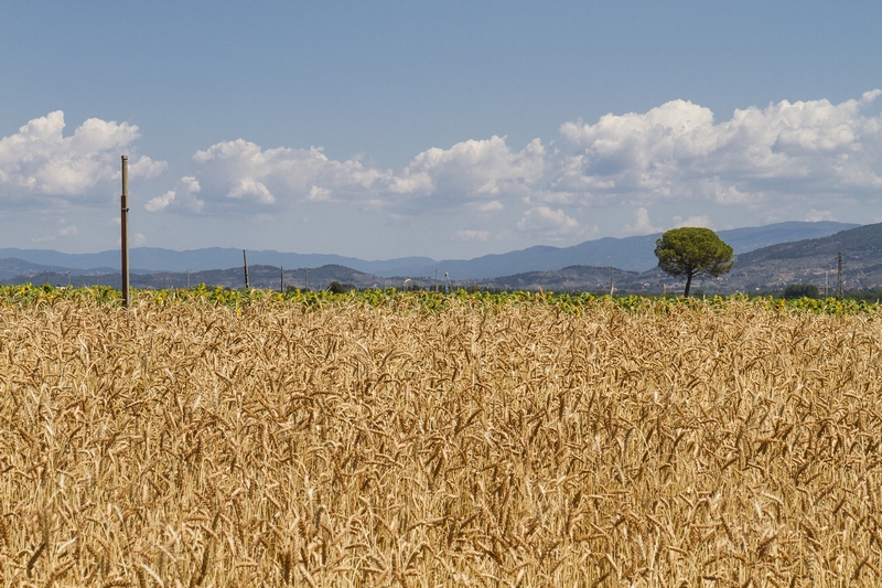 Economia rurale, salgono a 10 milioni le risorse per i progetti di rigenerazione di comunità