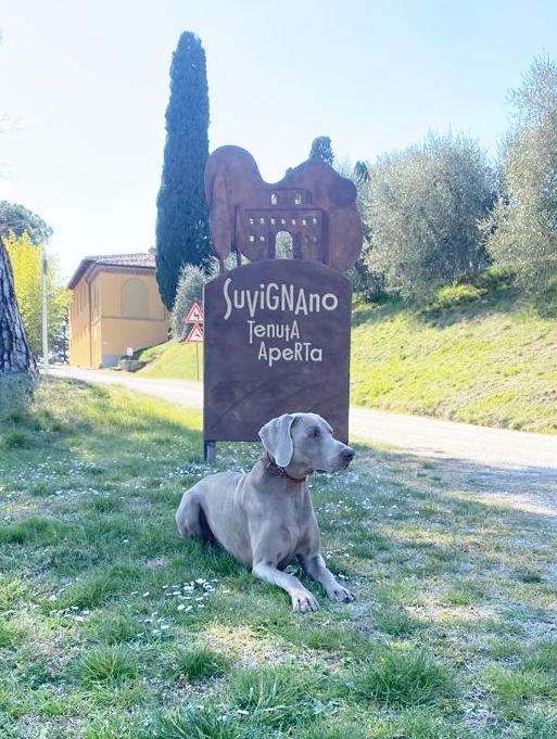 Torna domenica 21 alla Tenuta di Suvignano