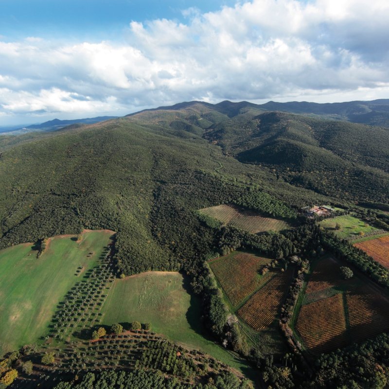 Benvenuto alle “Colline della Pia”, il nuovo distretto biologico nel sud della Toscana