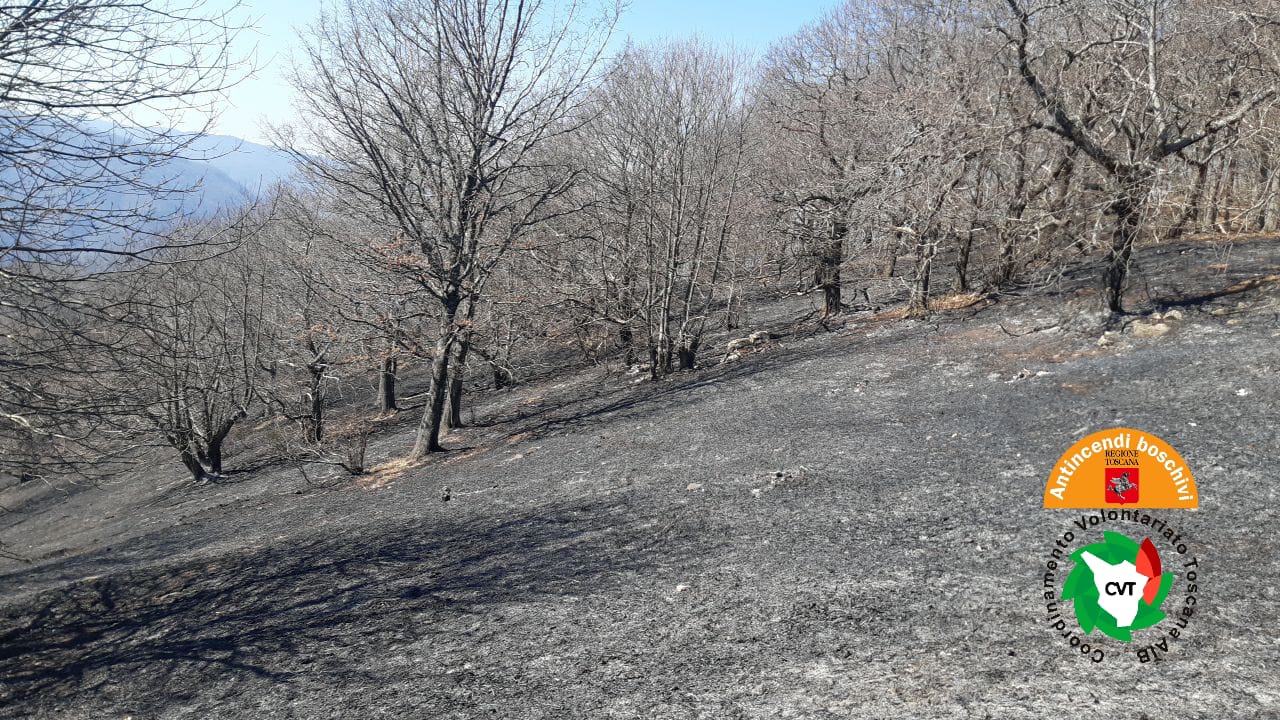 Immagine L’incendio di Crasciana (Lu) sotto controllo, avviate le operazioni di bonifica