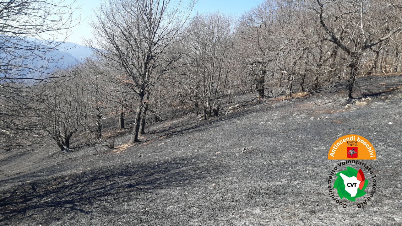 L’incendio di Crasciana (Lu) sotto controllo, avviate le operazioni di bonifica