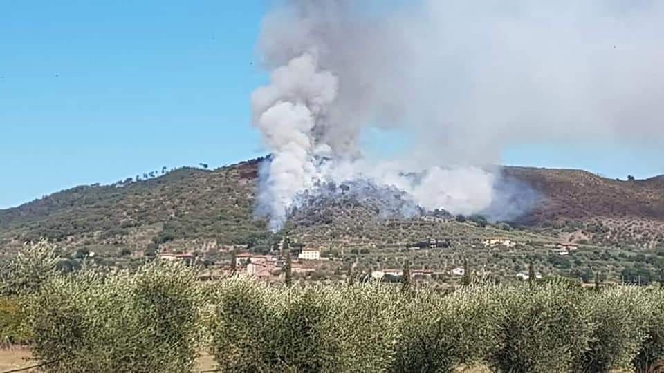 Sotto controllo l'incendio boschivo di Cortona (Ar). 7 gli ettari percorsi dal fuoco