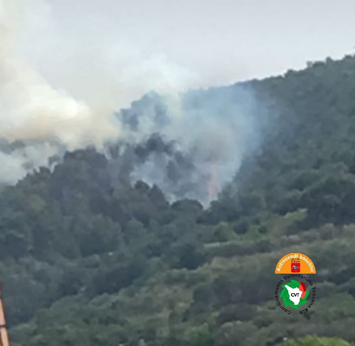 Incendio di bosco a macchia mediterranea sul Monte Santa Maria a Piombino