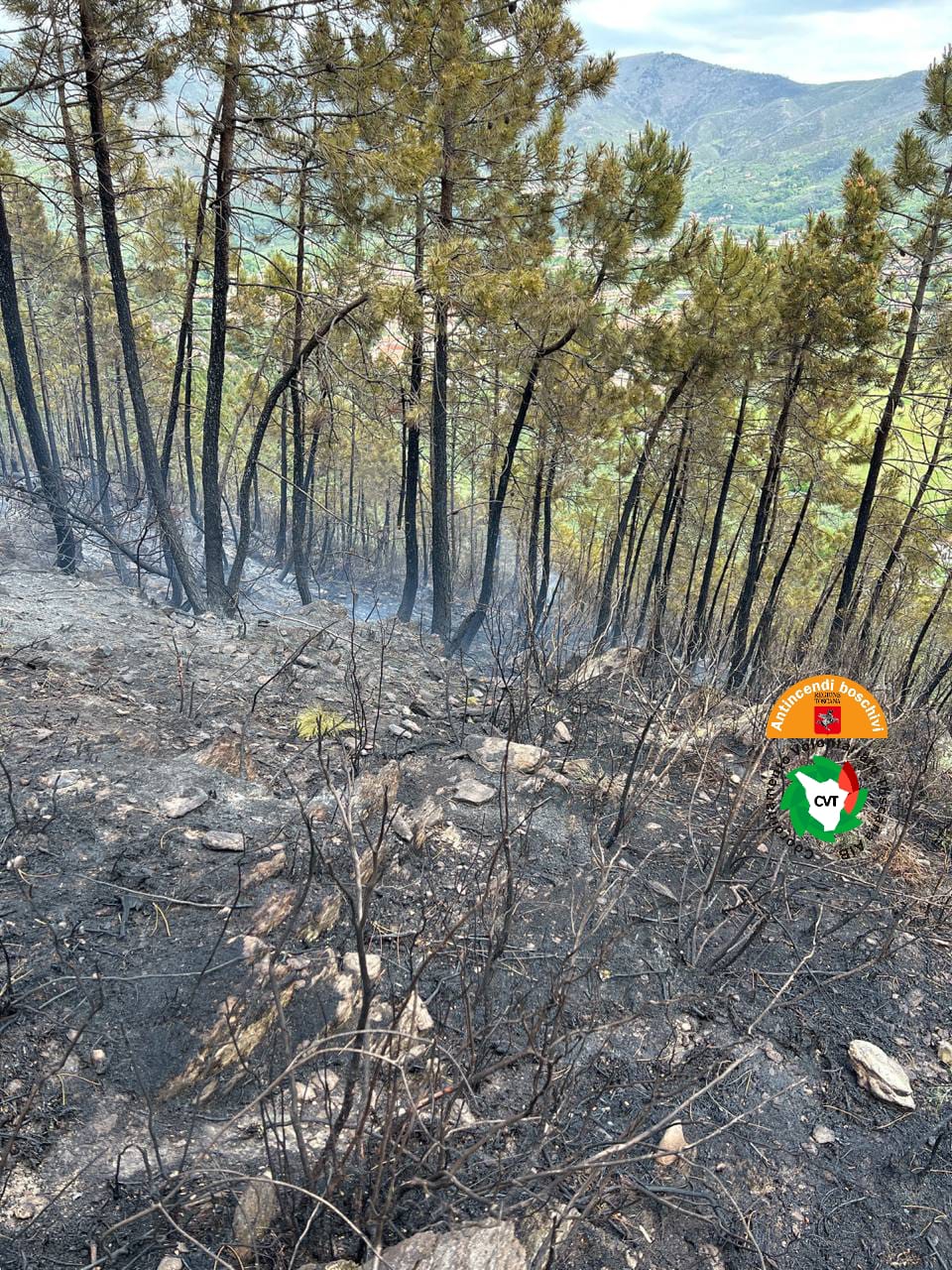 Incendio in località La Gabella in comune di Calci (Pi)