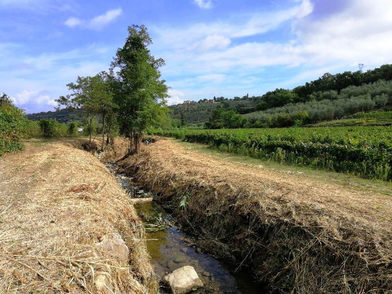 Passerella sul torrente La Furba (Poggio a Caiano), il 28 febbraio sopralluogo con la stampa
