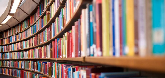 Coronavirus: norme per lunapark, musei, biblioteche, guide, zoo e scuole di musica
