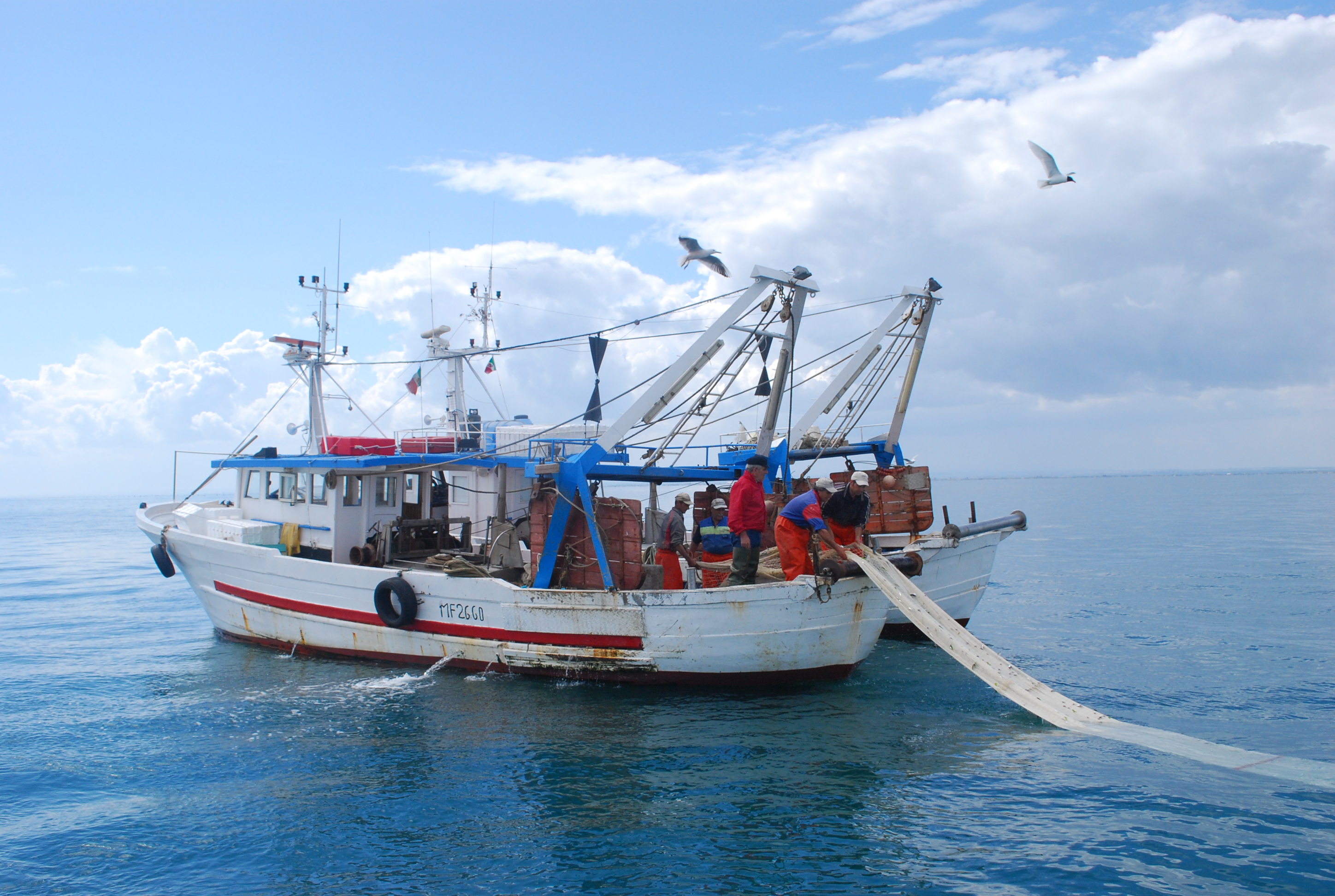 Pesca, Saccardi: “Settore da rilanciare all'insegna di qualità e sostenibilità”