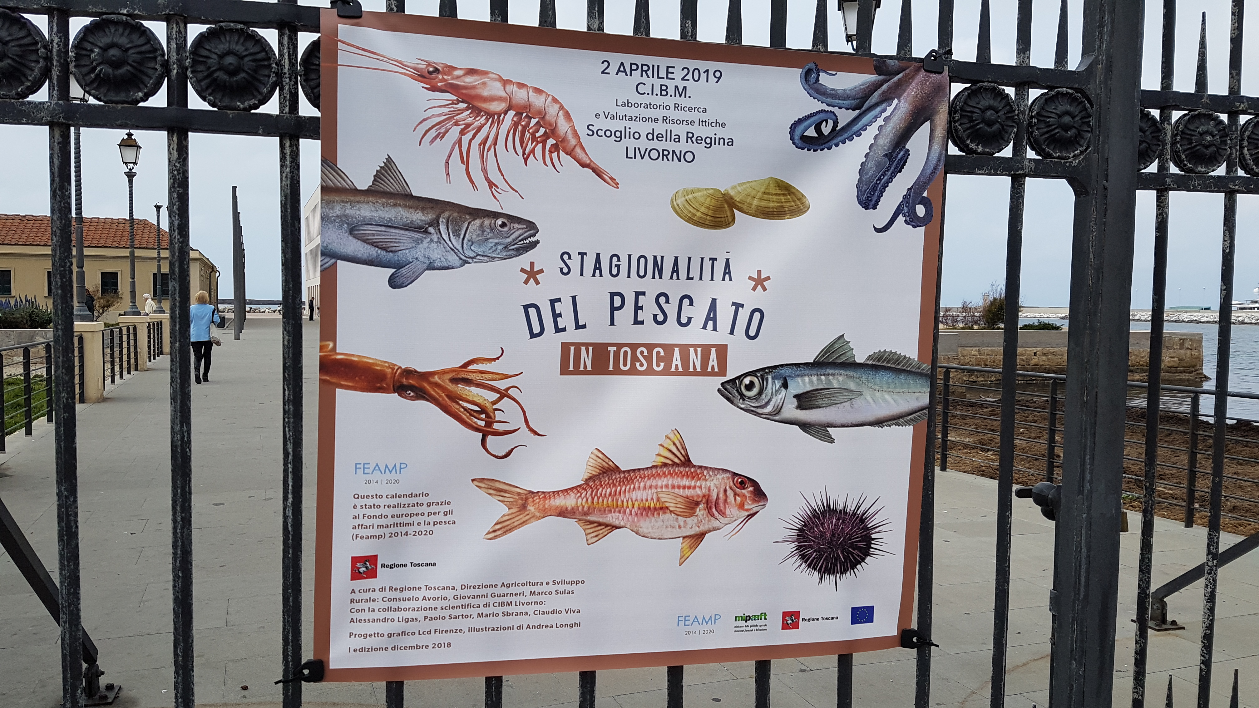 Presentato il calendario del pescato: un aiuto a mangiare bene e a salvaguardare l'ambiente