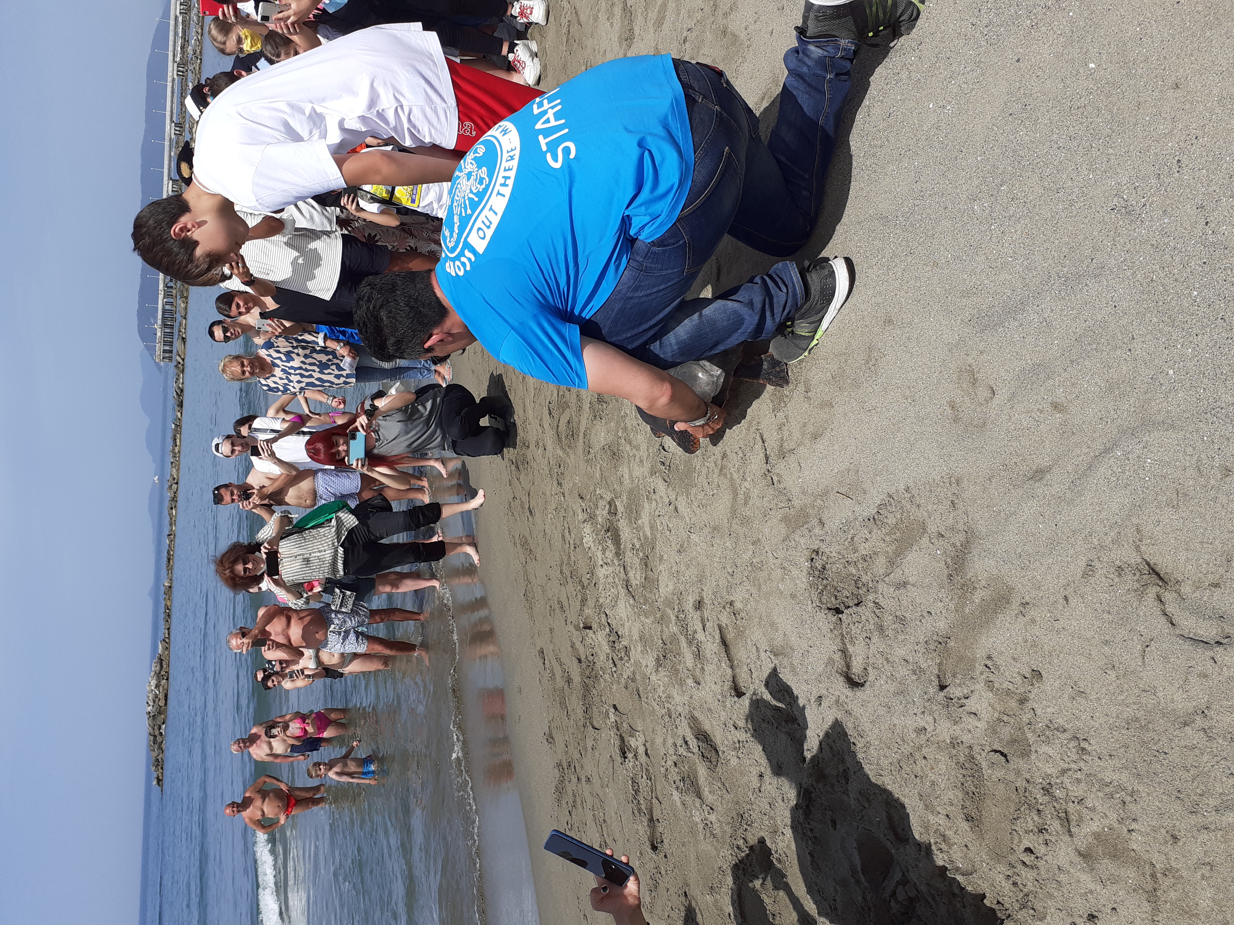 Tartaruga Caretta Caretta torna in mare, dopo cure e riabilitazione all’Acquario di Livorno