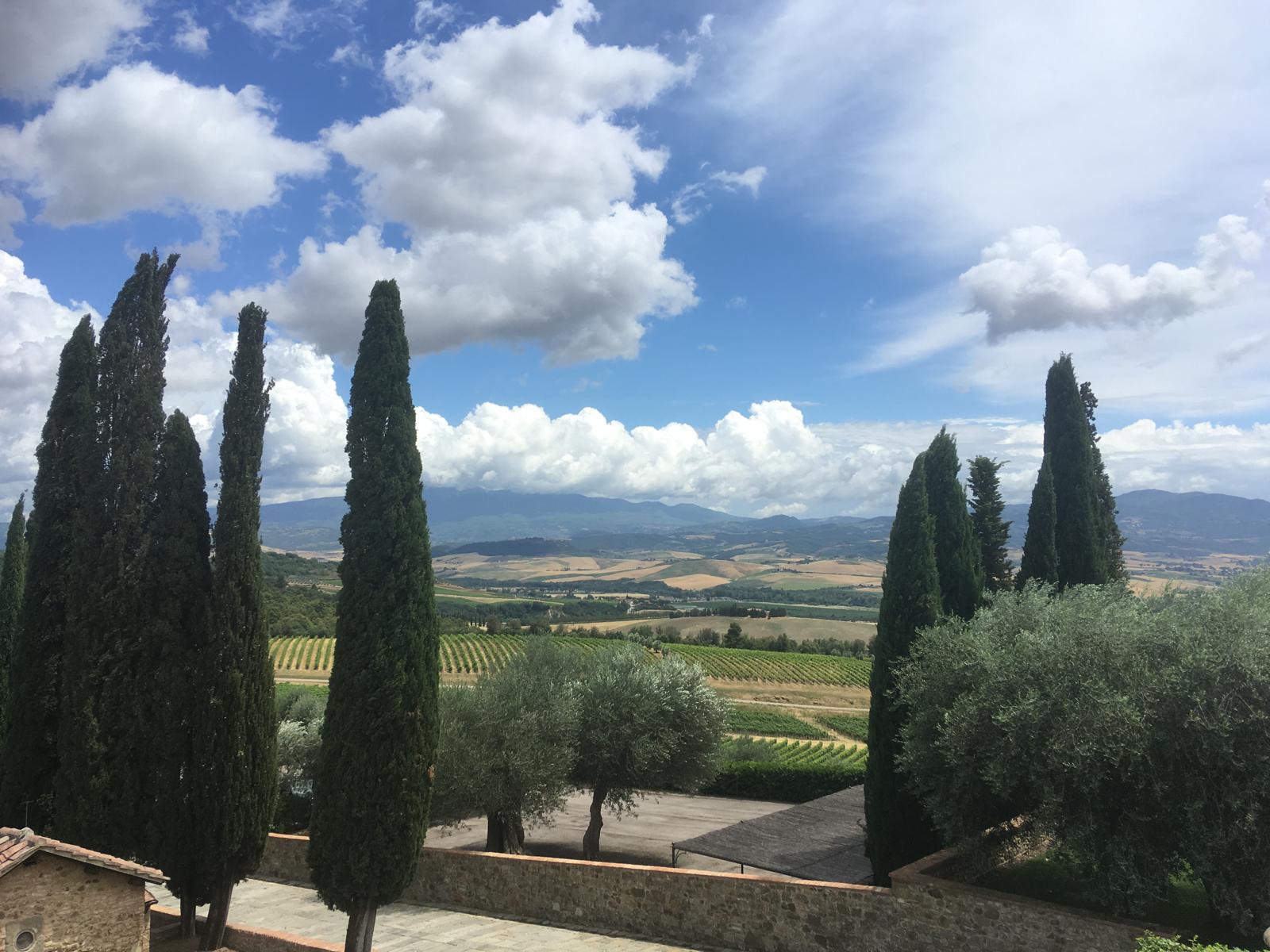 Vino, assegnati 352 ettari di nuova superficie rivendicabile a Rosso di Montalcino DOC