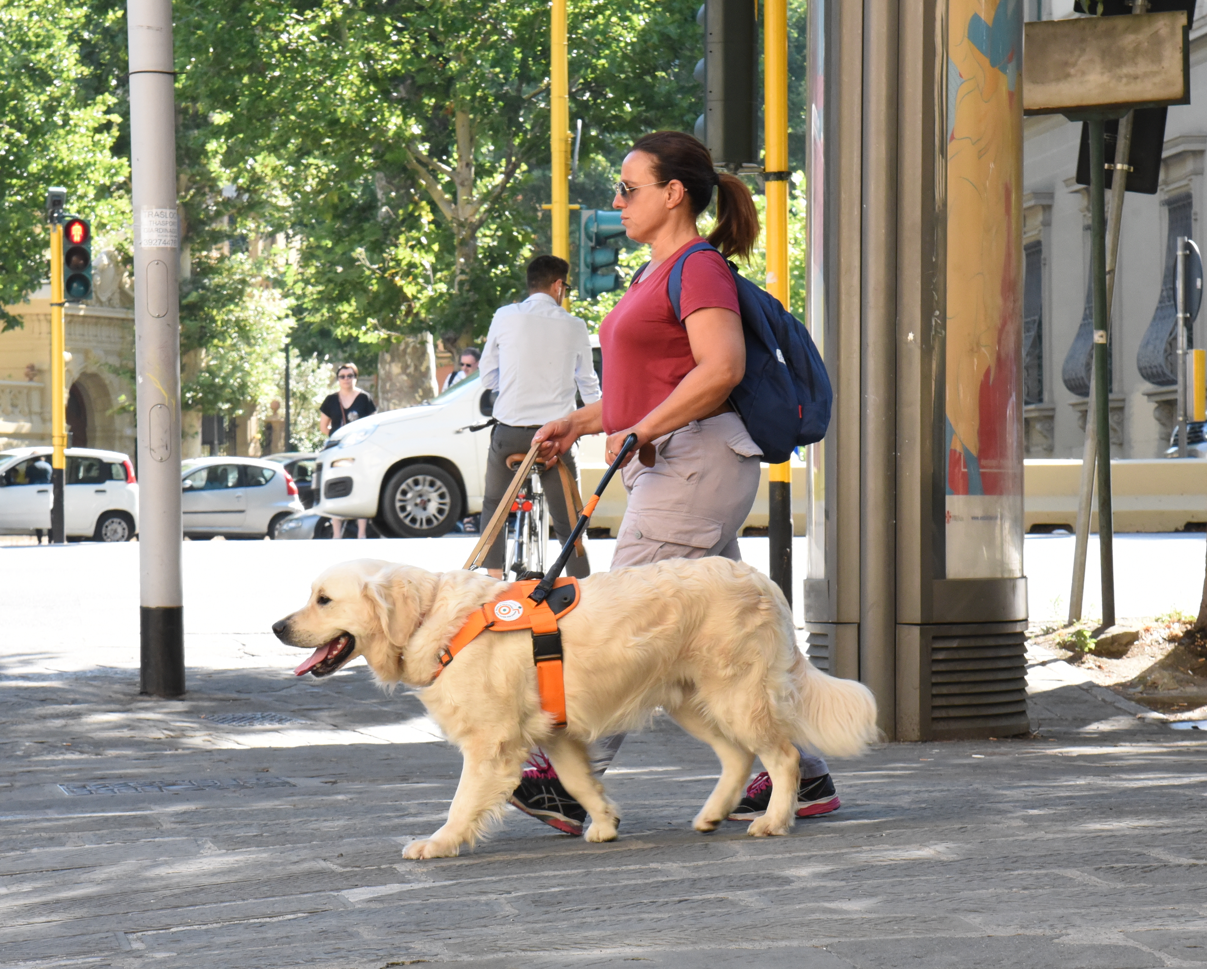Scuola cani guida di Scandicci: open day per l’affidamento dei cuccioli sabato 21 maggio
