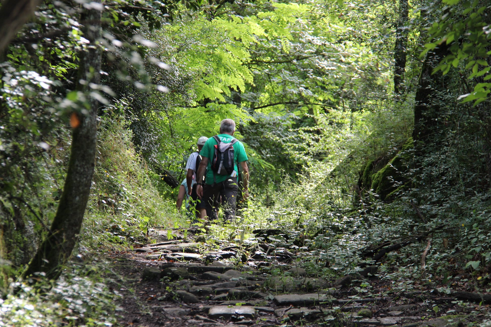 Immagine Turismo, Cammino della Setteponti: tre giorni a piedi lungo l'antica Via Cassia