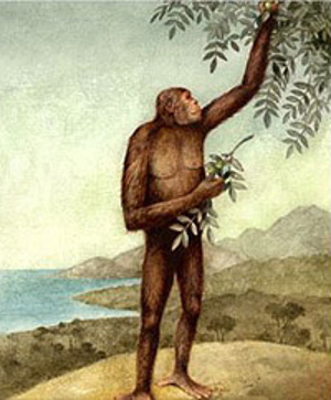 Eventi al Museo di Storia Naturale della Maremma