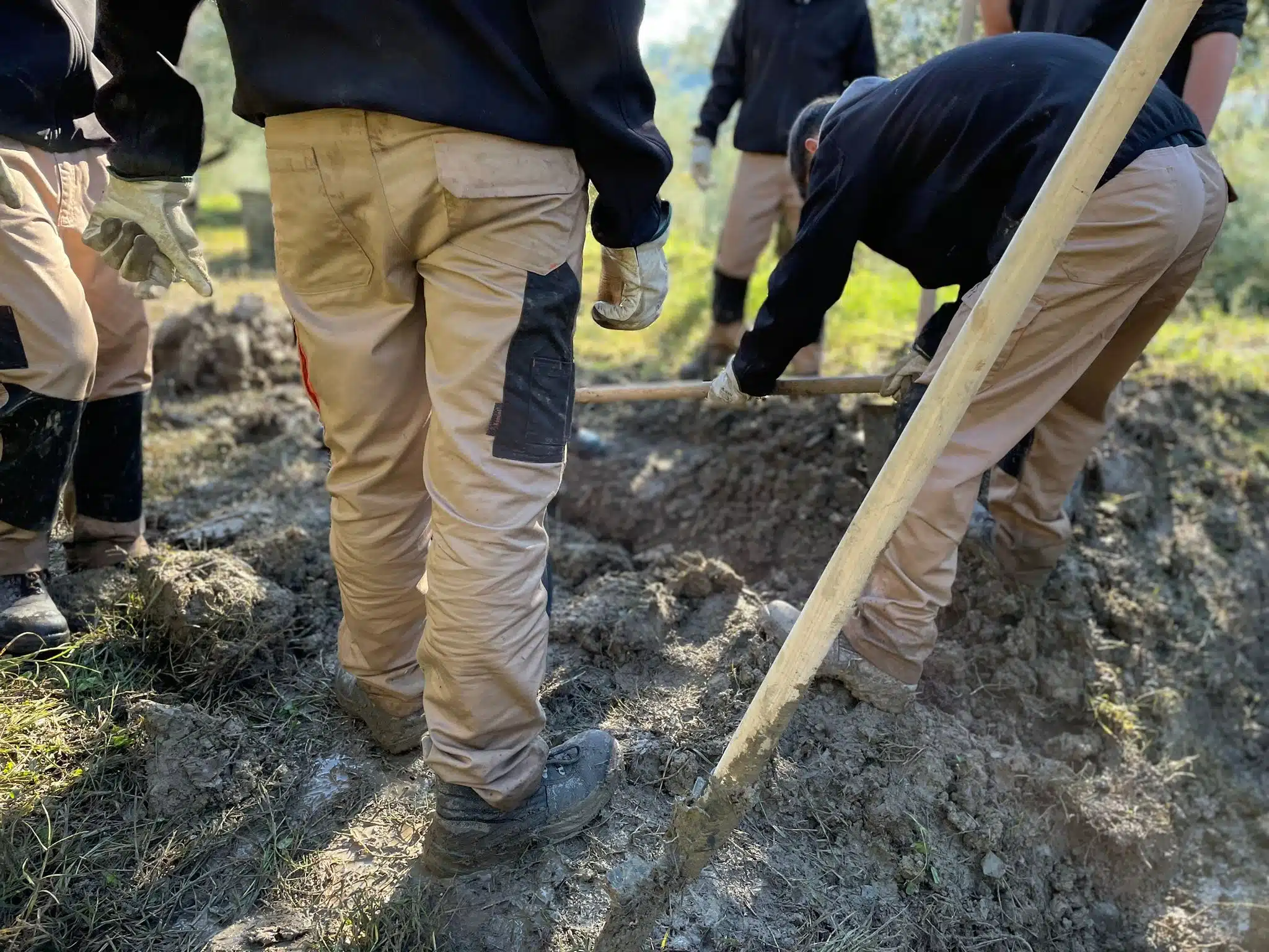 Agribusiness, 1,6 milioni con l'Fse+ per formare figure professionali