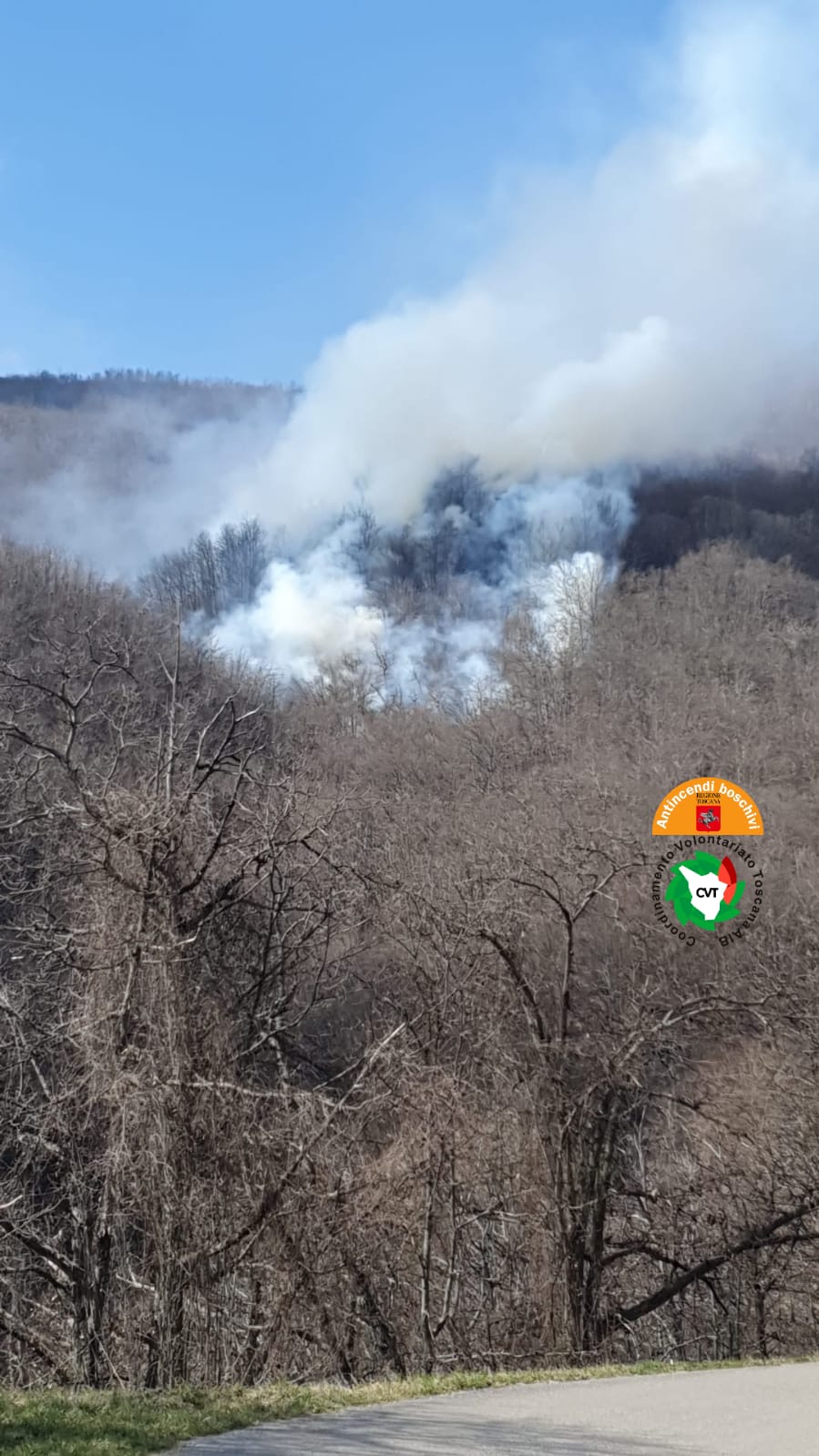 Incendio boschivo in valle della Torbola, nel comune di Pescia (PT)