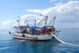 Pesca, bando Feamp