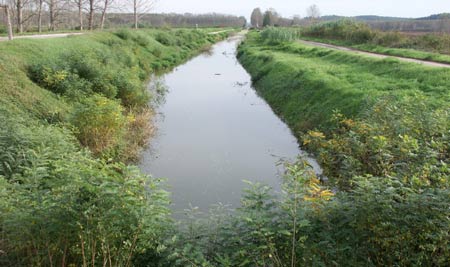 Difesa rischio idraulico, ripristinato l’argine crollato del torrente Pescia