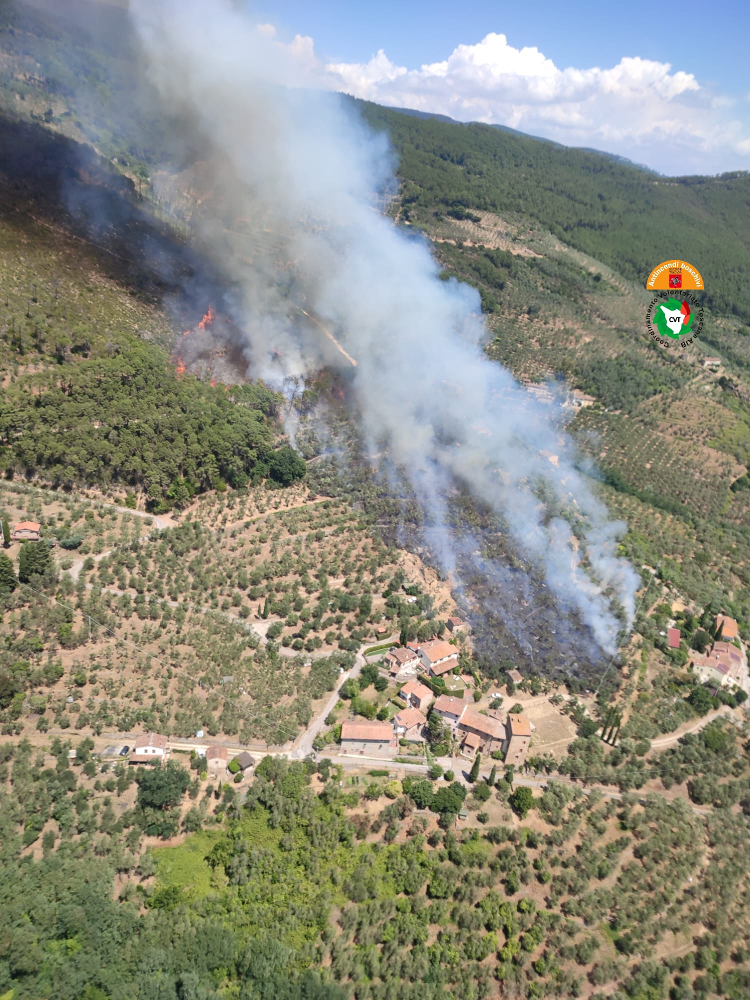 Vicopisano, a fuoco oliveti e boschi in località San Jacopo
