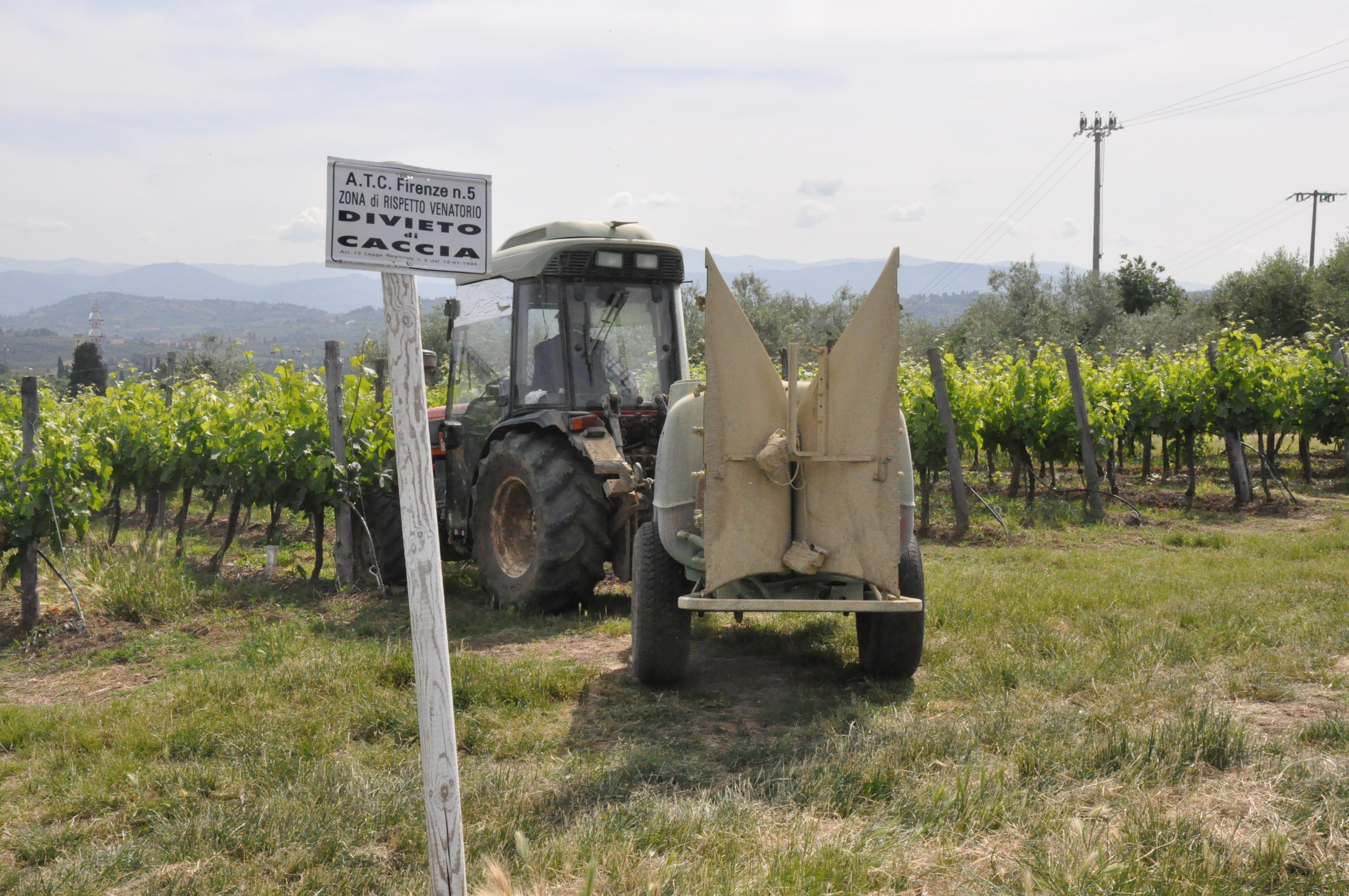 Servizi di consulenza per agricoltori, finanziati i 13 progetti del bando da oltre 5 milioni