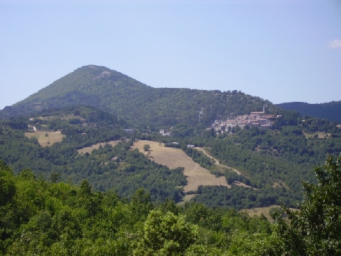 Le Colline Metallifere hanno i boschi 'certificati'