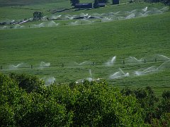 Contributi per migliorare l'irrigazione nelle aziende agricole