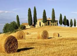 Agricoltura e alimentazione sostenibile: Salvadori spiega le scelte della Toscana agli studenti americani
