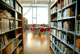 Scaletti: 'Salvare librerie ed esercizi storici dovere civile'