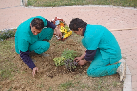 Arezzo, primo lavoro da giardinieri per tre immigrati