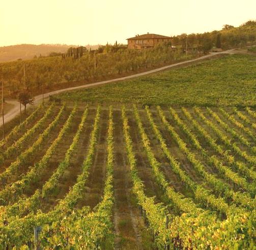 Agroalimentare, oltre 11 milioni per la promozione vino sui Paesi Terzi 