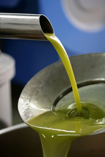 Olio: Salvadori partecipa domani a convegno su qualità a 'VerdeOro'