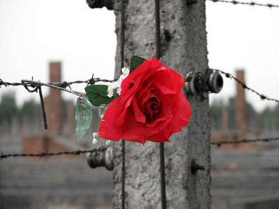 La Shoah nel confronto storiografico: il punto a Firenze