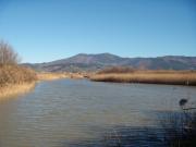 Parco agricolo della Piana, a Campi tre progetti cofinanziati da Regione e Comune