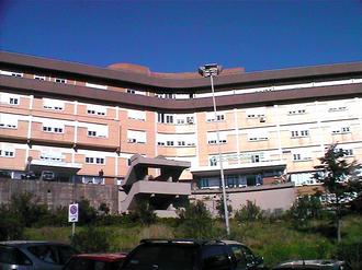 Daniela Scaramuccia: 'False notizie sull'oncologia elbana'