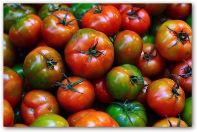 Pomodoro da industria, domani si firma l'intesa