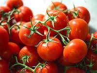 Filiera del pomodoro, la Regione lavora per creare un distretto toscano