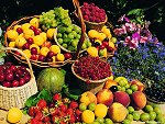 Cibo toscano da oggi nelle mense della Toscana, Salvadori firma l'accordo