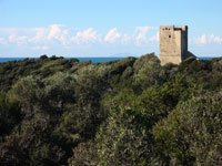 Lucia Venturi nuovo presidente dell'Ente Parco regionale della Maremma
