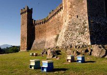 Salvadori a Montalcino per la Settimana del Miele: 'La Regione a fianco degli apicoltori'