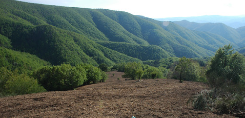 Progetti 2012 per la Montagna: la Regione stanzia 4 milioni