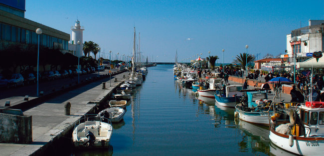 Viareggio, il rilancio della pesca al centro di un incontro con Remaschi