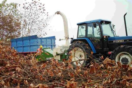 Biomasse agroforestali: convegno venerdì a Firenze. Partecipa Salvadori